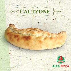 Caltzone Special